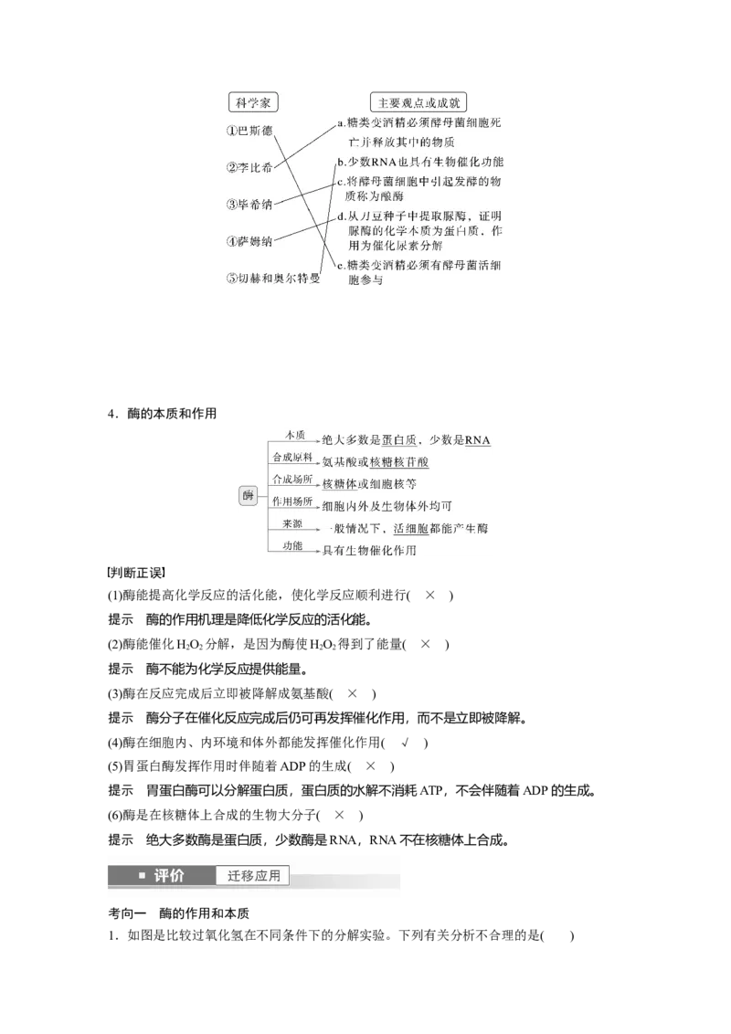 第三单元　第11课时　降低化学反应活化能的酶_2025年新高考资料_一轮复习_2025大一轮复习讲义+课件（完结）_2025大一轮复习讲义生物教师用书Word版文档整书