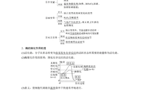 第三单元　第11课时　降低化学反应活化能的酶_2025年新高考资料_一轮复习_2025大一轮复习讲义+课件（完结）_2025大一轮复习讲义生物教师用书Word版文档整书
