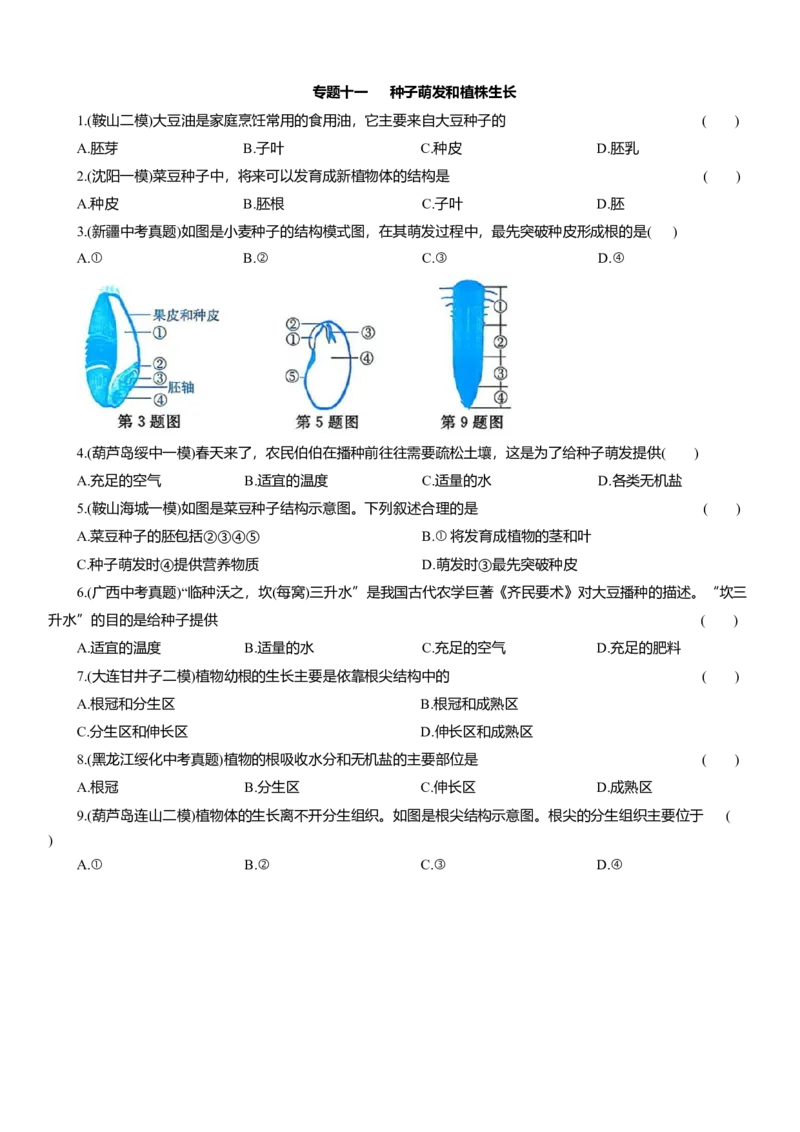 2026年中考生物复习专题练习：专题十一种子萌发和植株生长（含答案）_6生物中考复习_2026年中考复习（更新中）_2026年中考生物一轮复习专题练习（含答案）
