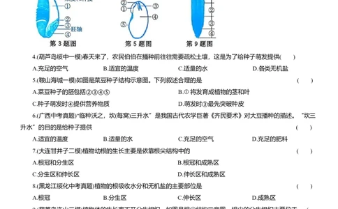 2026年中考生物复习专题练习：专题十一种子萌发和植株生长（含答案）_6生物中考复习_2026年中考复习（更新中）_2026年中考生物一轮复习专题练习（含答案）