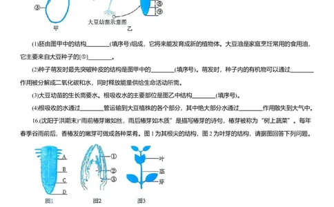 2026年中考生物复习专题练习：专题十一种子萌发和植株生长（含答案）_6生物中考复习_2026年中考复习（更新中）_2026年中考生物一轮复习专题练习（含答案）