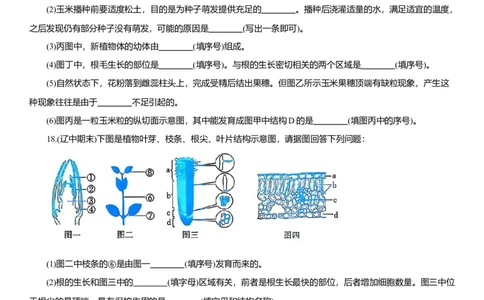 2026年中考生物复习专题练习：专题十一种子萌发和植株生长（含答案）_6生物中考复习_2026年中考复习（更新中）_2026年中考生物一轮复习专题练习（含答案）