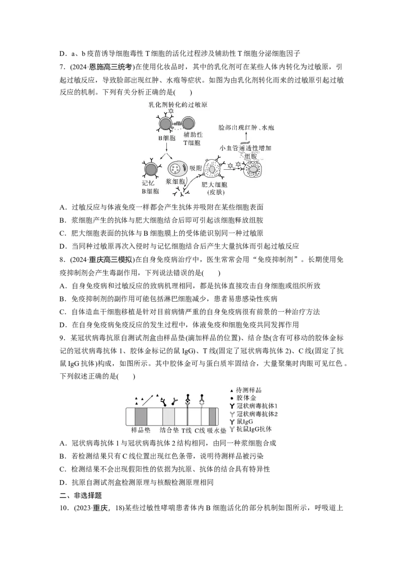 第八单元　课时练43　免疫失调及免疫学的应用_2025年新高考资料_一轮复习_2025大一轮复习讲义+课件（完结）_2025大一轮复习讲义生物学生用书Word版文档整书_2025一轮复习73练