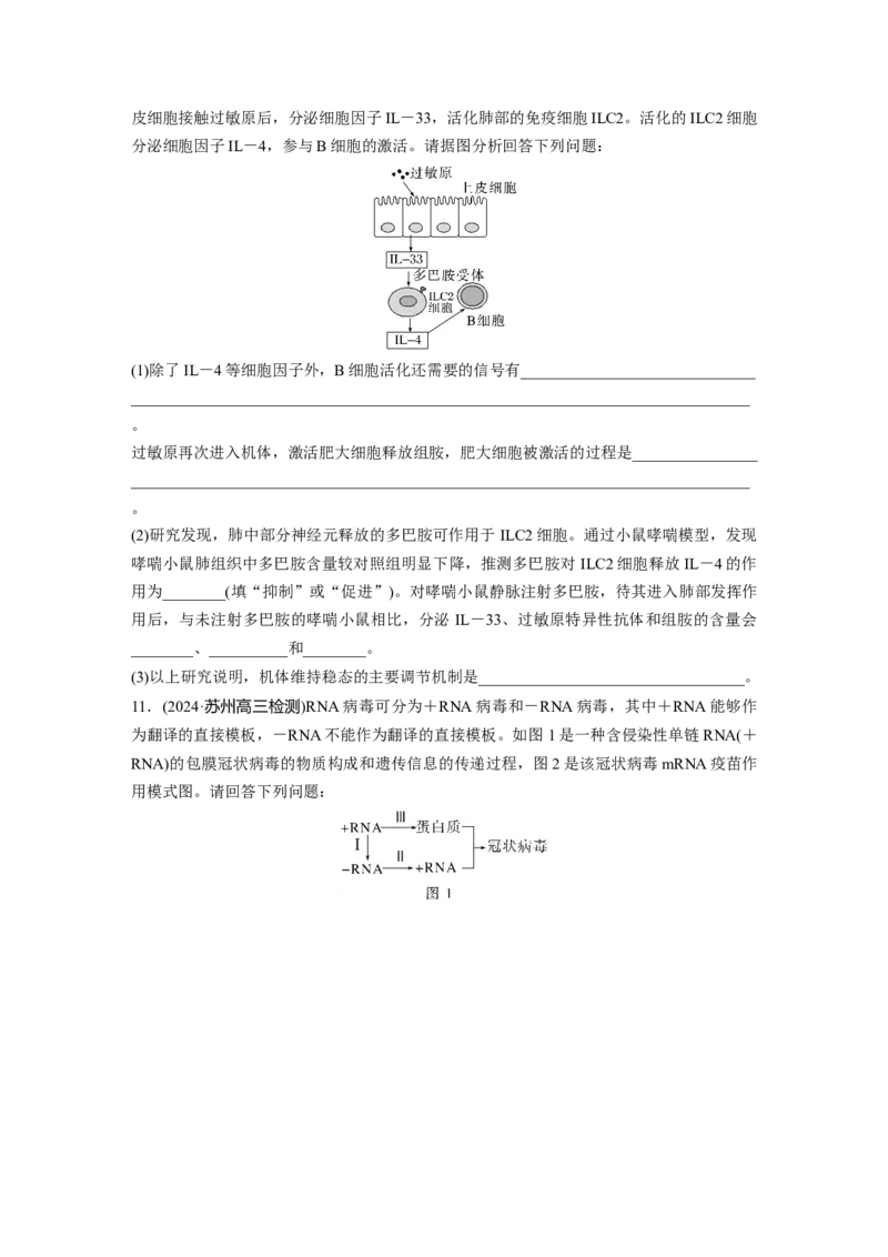 第八单元　课时练43　免疫失调及免疫学的应用_2025年新高考资料_一轮复习_2025大一轮复习讲义+课件（完结）_2025大一轮复习讲义生物学生用书Word版文档整书_2025一轮复习73练