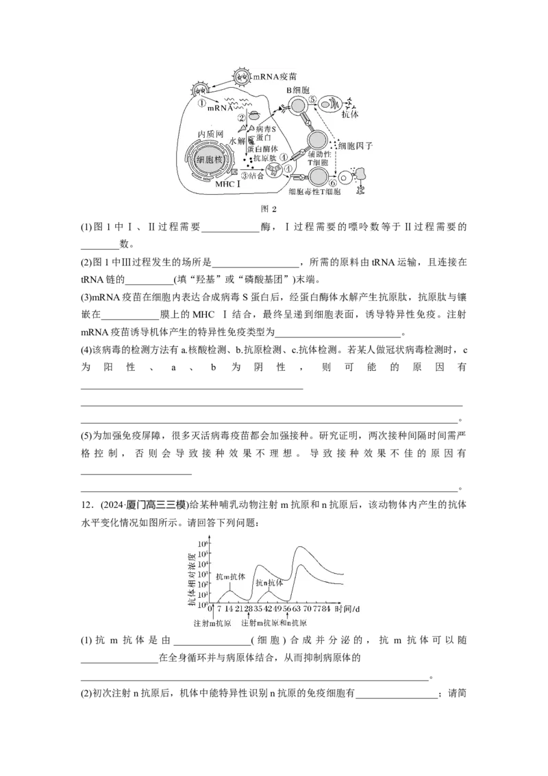 第八单元　课时练43　免疫失调及免疫学的应用_2025年新高考资料_一轮复习_2025大一轮复习讲义+课件（完结）_2025大一轮复习讲义生物学生用书Word版文档整书_2025一轮复习73练