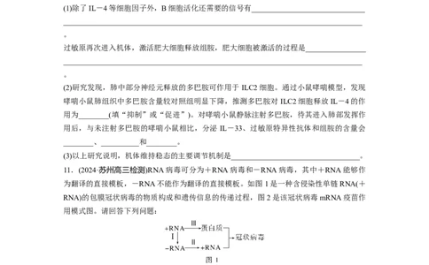 第八单元　课时练43　免疫失调及免疫学的应用_2025年新高考资料_一轮复习_2025大一轮复习讲义+课件（完结）_2025大一轮复习讲义生物学生用书Word版文档整书_2025一轮复习73练