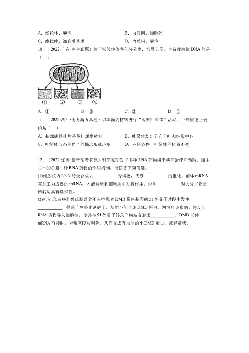 第6讲细胞质和生物膜系统（练习）（原卷版）_新高考复习资料_2024年新高考复习资料_一轮复习资料_完2024年高考生物一轮复习讲练测(课件+讲义+练习)（新高考）_讲义+练习