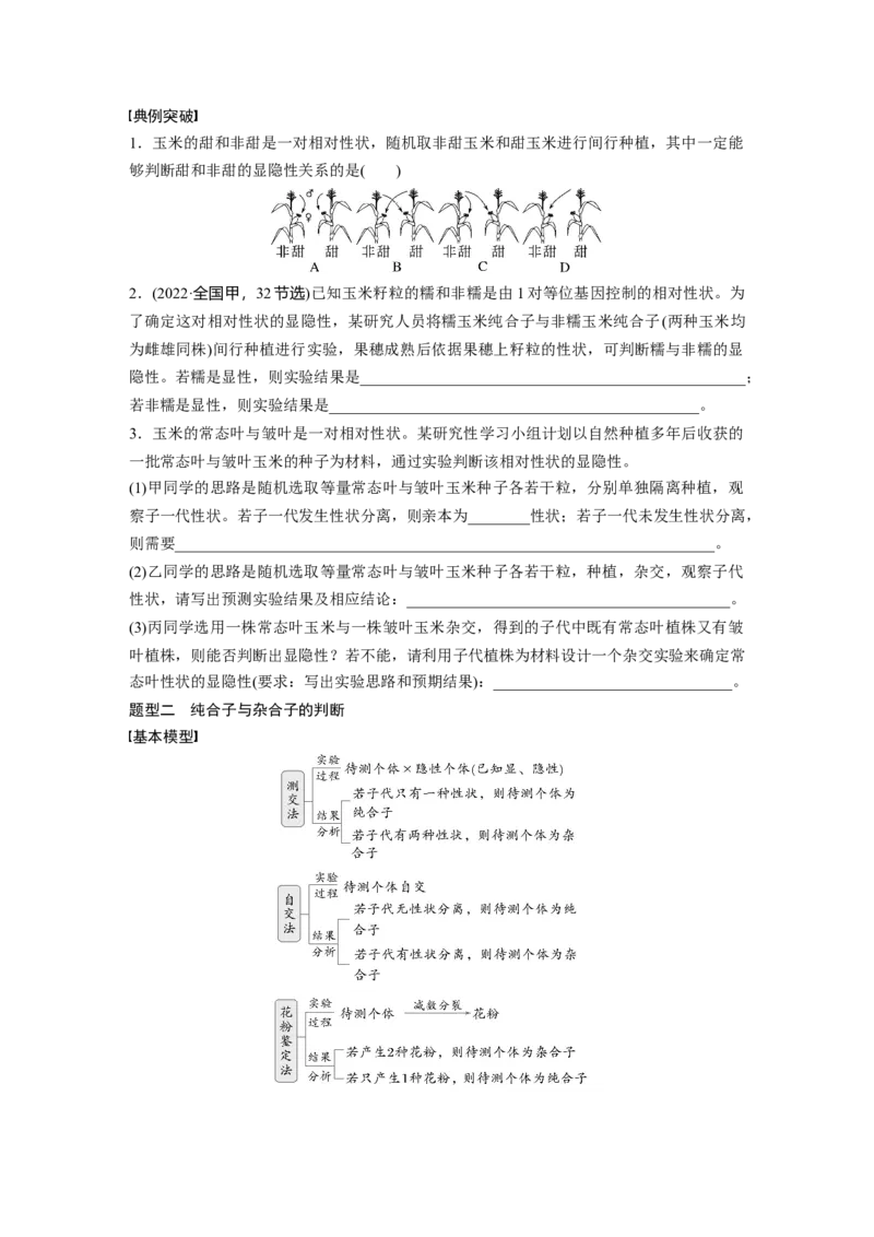 第五单元　第25课时　分离定律的概率计算和常规应用_2025年新高考资料_一轮复习_2025大一轮复习讲义+课件（完结）_2025大一轮复习讲义生物学生用书Word版文档整书_2025大一轮复习讲义