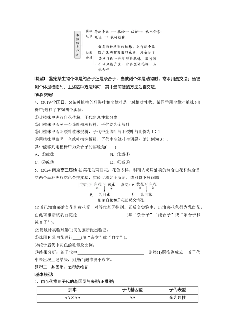 第五单元　第25课时　分离定律的概率计算和常规应用_2025年新高考资料_一轮复习_2025大一轮复习讲义+课件（完结）_2025大一轮复习讲义生物学生用书Word版文档整书_2025大一轮复习讲义