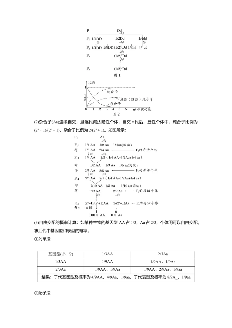 第五单元　第25课时　分离定律的概率计算和常规应用_2025年新高考资料_一轮复习_2025大一轮复习讲义+课件（完结）_2025大一轮复习讲义生物学生用书Word版文档整书_2025大一轮复习讲义