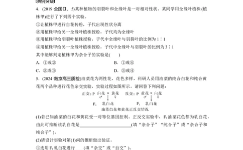 第五单元　第25课时　分离定律的概率计算和常规应用_2025年新高考资料_一轮复习_2025大一轮复习讲义+课件（完结）_2025大一轮复习讲义生物学生用书Word版文档整书_2025大一轮复习讲义