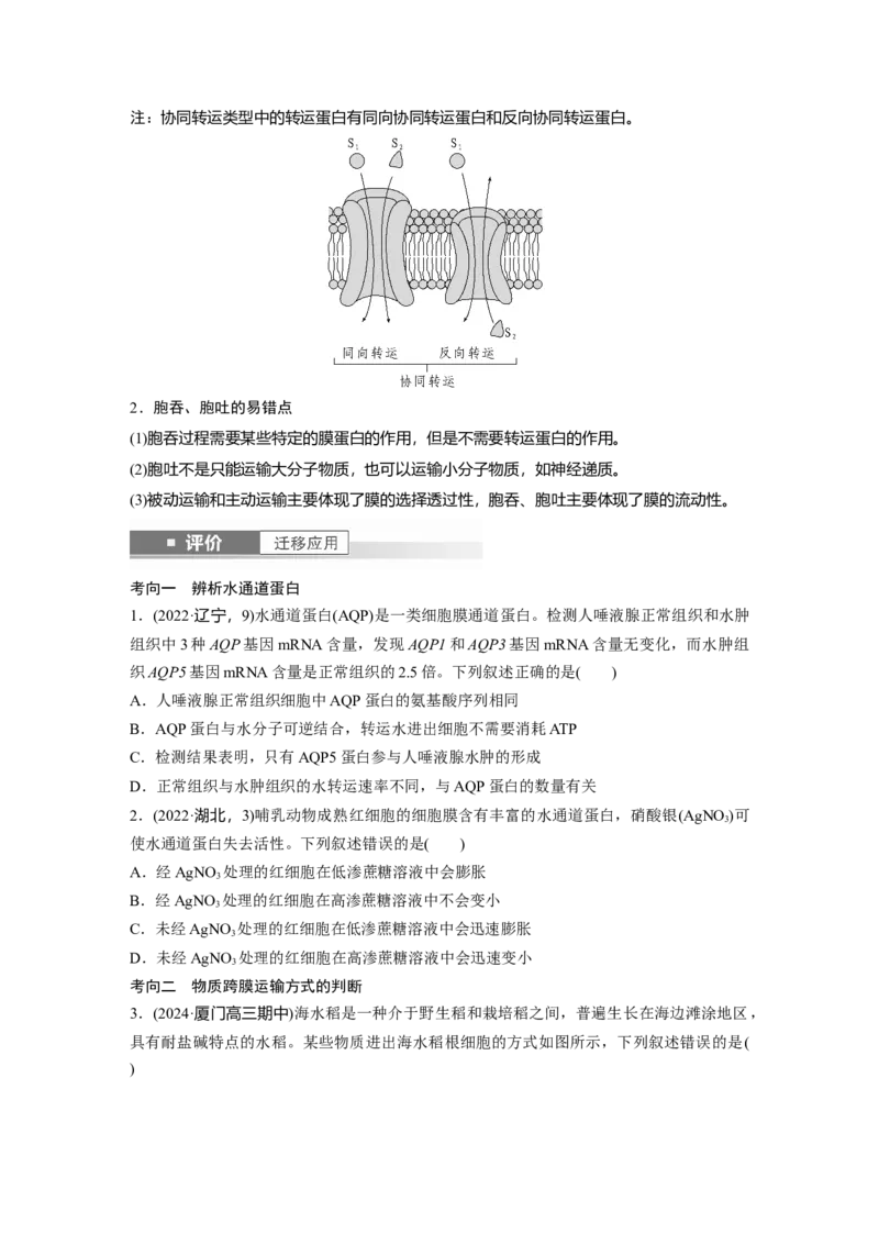 第二单元　第10课时　物质进出细胞的方式及影响因素_2025年新高考资料_一轮复习_2025大一轮复习讲义+课件（完结）_2025大一轮复习讲义生物学生用书Word版文档整书_2025大一轮复习讲义