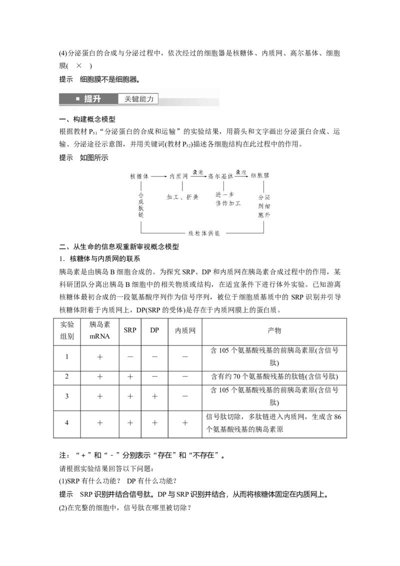 第二单元　第8课时　细胞器之间的协调配合_2025年新高考资料_一轮复习_2025大一轮复习讲义+课件（完结）_2025大一轮复习讲义生物教师用书Word版文档整书