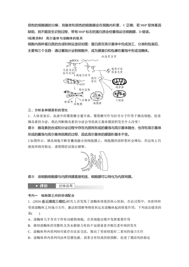 第二单元　第8课时　细胞器之间的协调配合_2025年新高考资料_一轮复习_2025大一轮复习讲义+课件（完结）_2025大一轮复习讲义生物教师用书Word版文档整书