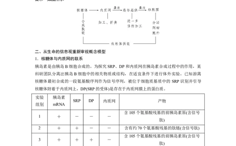 第二单元　第8课时　细胞器之间的协调配合_2025年新高考资料_一轮复习_2025大一轮复习讲义+课件（完结）_2025大一轮复习讲义生物教师用书Word版文档整书