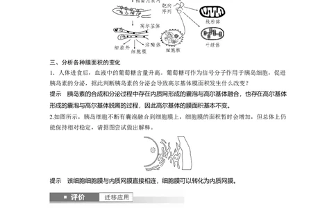 第二单元　第8课时　细胞器之间的协调配合_2025年新高考资料_一轮复习_2025大一轮复习讲义+课件（完结）_2025大一轮复习讲义生物教师用书Word版文档整书