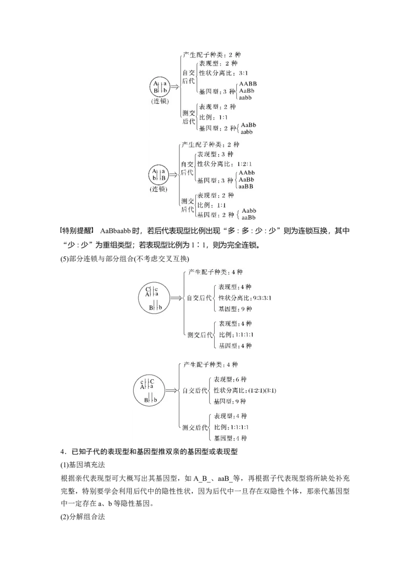 第一篇专题四考点一　辨清遗传规律&ldquo;实质&rdquo;与相关&ldquo;比例&rdquo;_通用版（老高考）复习资料_2023年复习资料_二轮复习_2023年高考生物二轮复习讲义+课件（全国版）_学生版_第一篇专题突破