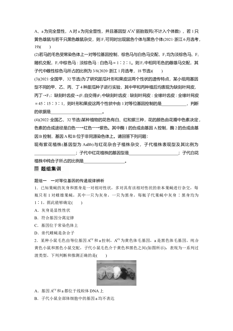 第一篇专题四考点一　辨清遗传规律&ldquo;实质&rdquo;与相关&ldquo;比例&rdquo;_通用版（老高考）复习资料_2023年复习资料_二轮复习_2023年高考生物二轮复习讲义+课件（全国版）_学生版_第一篇专题突破