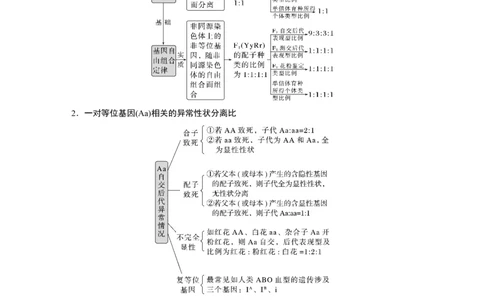 第一篇专题四考点一　辨清遗传规律&ldquo;实质&rdquo;与相关&ldquo;比例&rdquo;_通用版（老高考）复习资料_2023年复习资料_二轮复习_2023年高考生物二轮复习讲义+课件（全国版）_学生版_第一篇专题突破