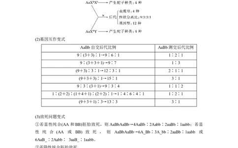 第一篇专题四考点一　辨清遗传规律&ldquo;实质&rdquo;与相关&ldquo;比例&rdquo;_通用版（老高考）复习资料_2023年复习资料_二轮复习_2023年高考生物二轮复习讲义+课件（全国版）_学生版_第一篇专题突破