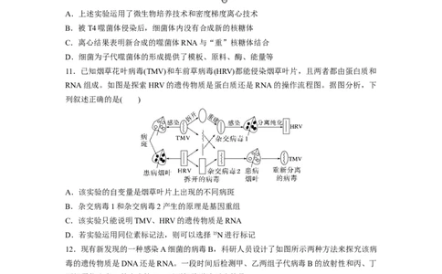第六单元　课时练29DNA是主要的遗传物质_2025年新高考资料_一轮复习_2025大一轮复习讲义+课件（完结）_2025大一轮复习讲义生物学生用书Word版文档整书_2025一轮复习73练