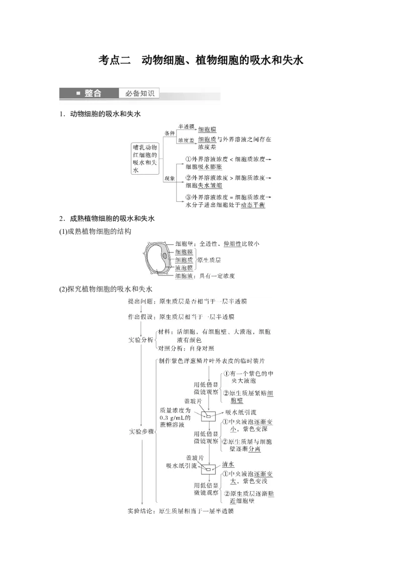 第二单元　第9课时　水进出细胞的原理_2025年新高考资料_一轮复习_2025大一轮复习讲义+课件（完结）_2025大一轮复习讲义生物教师用书Word版文档整书_配套Word版文档第一~二单元