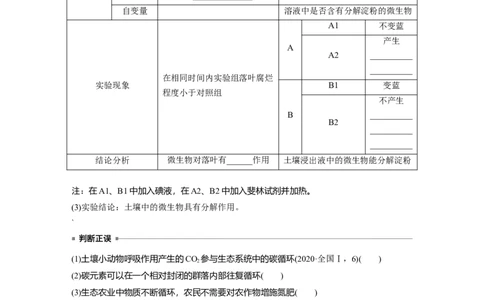 第九单元　第53课时　生态系统的物质循环、信息传递_2025年新高考资料_一轮复习_2025大一轮复习讲义+课件（完结）_2025大一轮复习讲义生物学生用书Word版文档整书_2025大一轮复习讲义