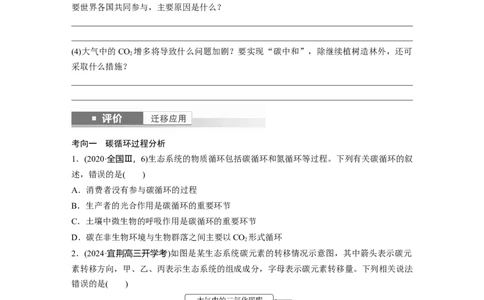 第九单元　第53课时　生态系统的物质循环、信息传递_2025年新高考资料_一轮复习_2025大一轮复习讲义+课件（完结）_2025大一轮复习讲义生物学生用书Word版文档整书_2025大一轮复习讲义