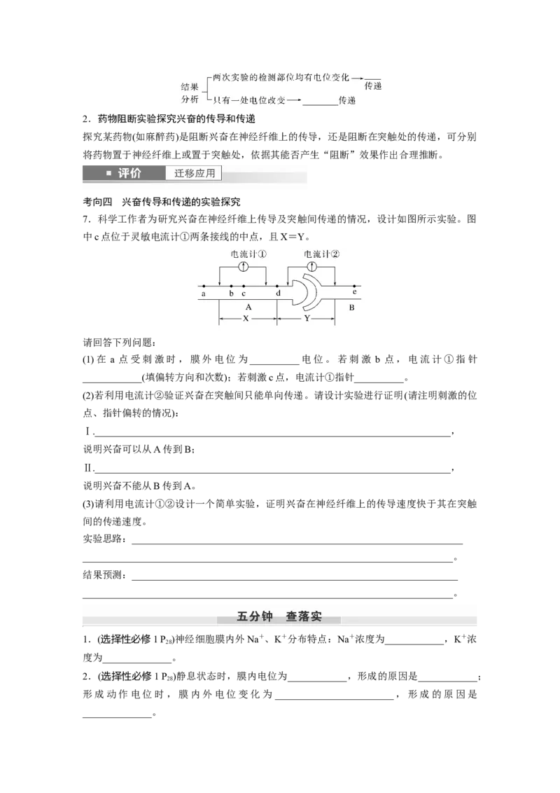 第八单元　第38课时　神经冲动的产生和传导_新高考复习资料_2025年新高考资料_2025新高考一轮复习生物_2025大一轮复习讲义生物人教版学生用书Word版文档整书_2025大一轮复习讲义