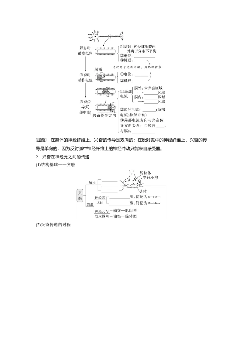 第八单元　第38课时　神经冲动的产生和传导_新高考复习资料_2025年新高考资料_2025新高考一轮复习生物_2025大一轮复习讲义生物人教版学生用书Word版文档整书_2025大一轮复习讲义