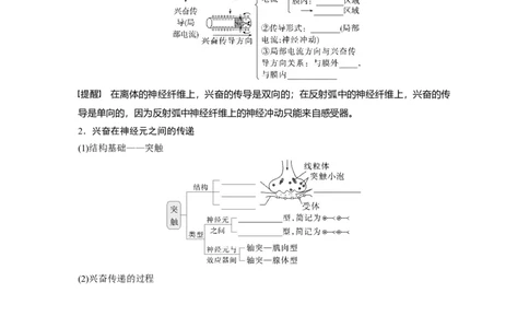第八单元　第38课时　神经冲动的产生和传导_新高考复习资料_2025年新高考资料_2025新高考一轮复习生物_2025大一轮复习讲义生物人教版学生用书Word版文档整书_2025大一轮复习讲义