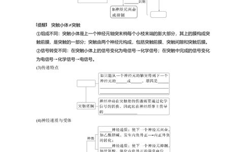 第八单元　第38课时　神经冲动的产生和传导_新高考复习资料_2025年新高考资料_2025新高考一轮复习生物_2025大一轮复习讲义生物人教版学生用书Word版文档整书_2025大一轮复习讲义