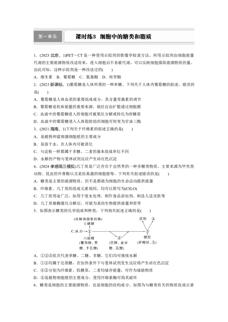 第一单元　课时练3细胞中的糖类和脂质_2025年新高考资料_一轮复习_2025大一轮复习讲义+课件（完结）_2025大一轮复习讲义生物学生用书Word版文档整书_2025一轮复习73练