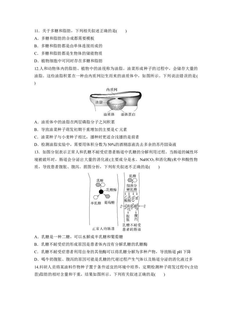 第一单元　课时练3细胞中的糖类和脂质_2025年新高考资料_一轮复习_2025大一轮复习讲义+课件（完结）_2025大一轮复习讲义生物学生用书Word版文档整书_2025一轮复习73练