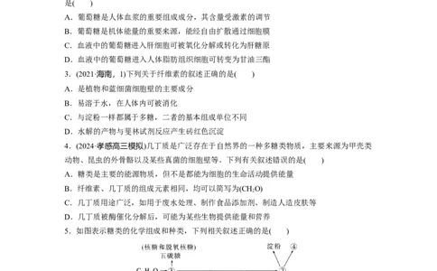 第一单元　课时练3细胞中的糖类和脂质_2025年新高考资料_一轮复习_2025大一轮复习讲义+课件（完结）_2025大一轮复习讲义生物学生用书Word版文档整书_2025一轮复习73练