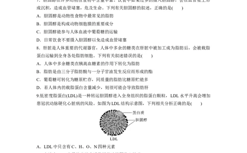 第一单元　课时练3细胞中的糖类和脂质_2025年新高考资料_一轮复习_2025大一轮复习讲义+课件（完结）_2025大一轮复习讲义生物学生用书Word版文档整书_2025一轮复习73练