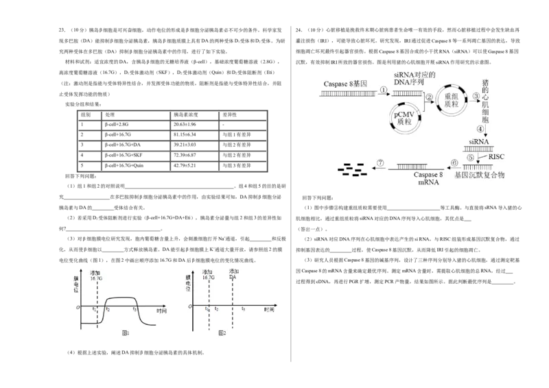 第十一单元实验探究与设计精编（B卷能力提升练）-2023年高考生物一轮复习单元滚动双测卷（新高考专用）（考试版）_新高考复习资料_2023年新高考复习资料_一轮复习