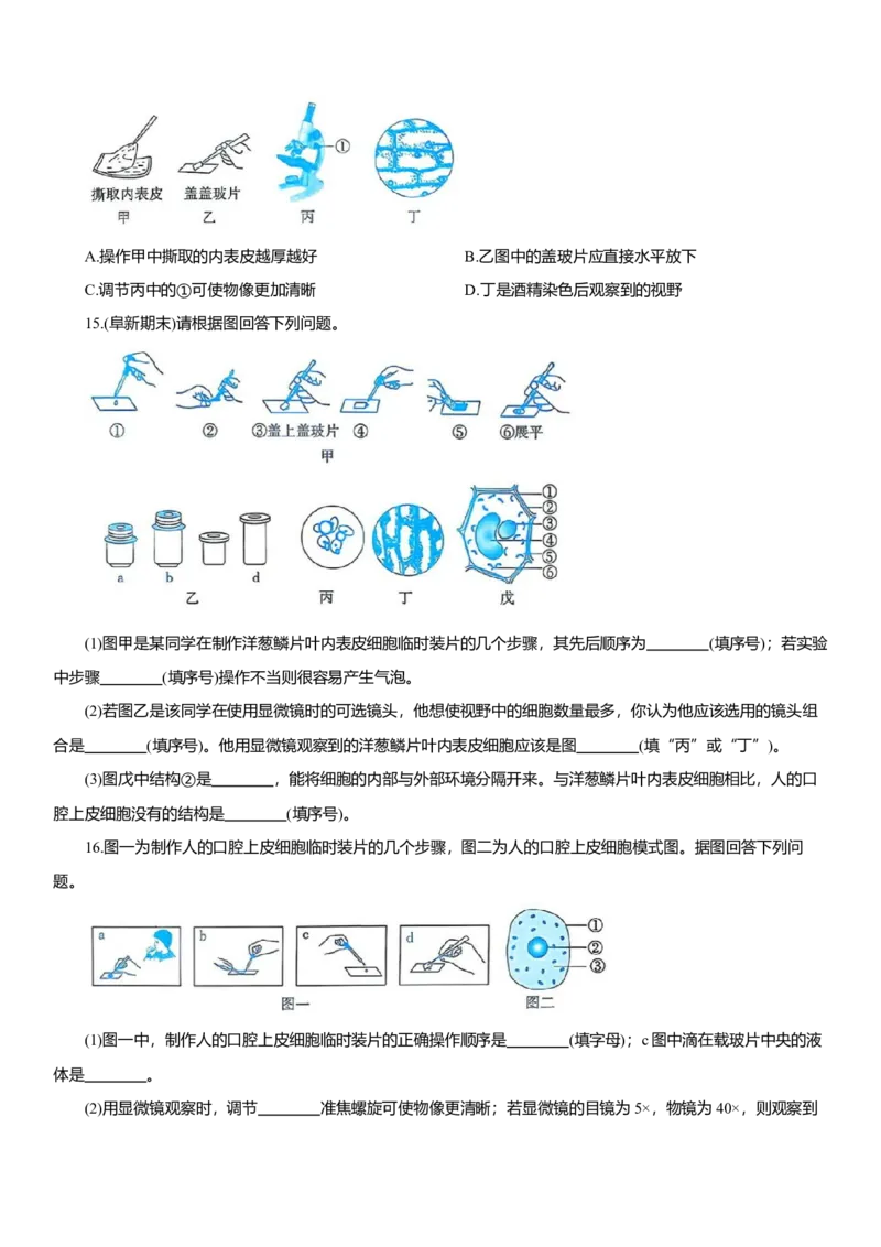 2026年中考生物复习专题练习：专题二细胞（含答案）_6生物中考复习_2026年中考复习（更新中）_2026年中考生物一轮复习专题练习（含答案）