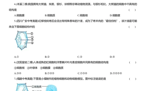 2026年中考生物复习专题练习：专题二细胞（含答案）_6生物中考复习_2026年中考复习（更新中）_2026年中考生物一轮复习专题练习（含答案）