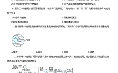 2026年中考生物复习专题练习：专题二细胞（含答案）_6生物中考复习_2026年中考复习（更新中）_2026年中考生物一轮复习专题练习（含答案）