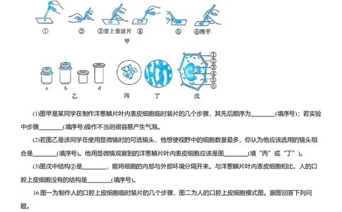 2026年中考生物复习专题练习：专题二细胞（含答案）_6生物中考复习_2026年中考复习（更新中）_2026年中考生物一轮复习专题练习（含答案）