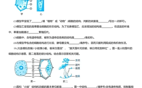 2026年中考生物复习专题练习：专题二细胞（含答案）_6生物中考复习_2026年中考复习（更新中）_2026年中考生物一轮复习专题练习（含答案）