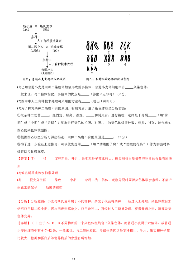 第七单元生物的变异与进化（测试）（解析版）_新高考复习资料_2024年新高考复习资料_一轮复习资料_完2024年高考生物一轮复习讲练测(课件+讲义+练习)（新高考）_单元测试