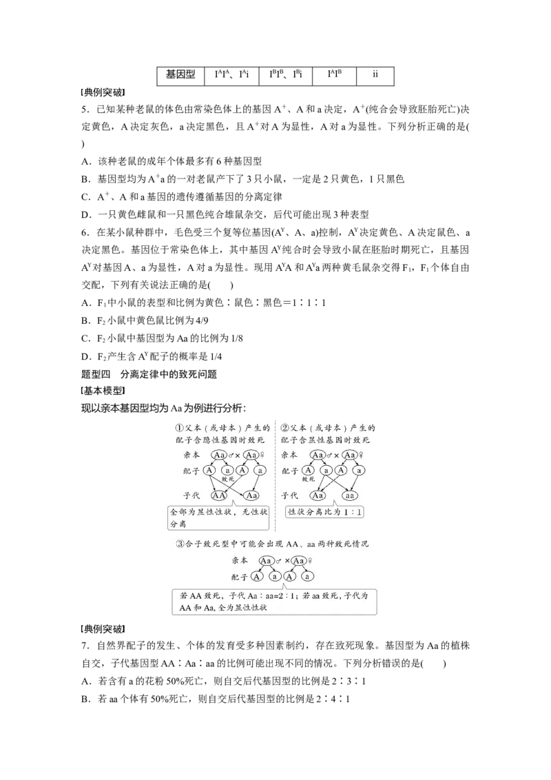 第五单元　专题突破5　基因分离定律拓展题型突破_2025年新高考资料_一轮复习_2025大一轮复习讲义+课件（完结）_2025大一轮复习讲义生物学生用书Word版文档整书_2025大一轮复习讲义