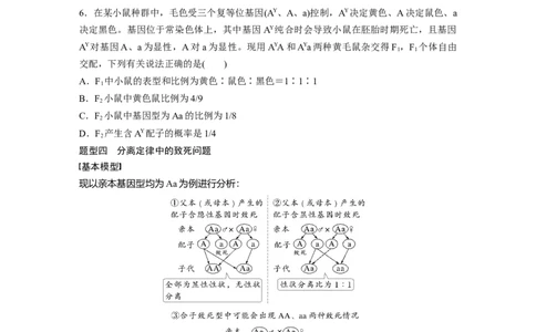 第五单元　专题突破5　基因分离定律拓展题型突破_2025年新高考资料_一轮复习_2025大一轮复习讲义+课件（完结）_2025大一轮复习讲义生物学生用书Word版文档整书_2025大一轮复习讲义