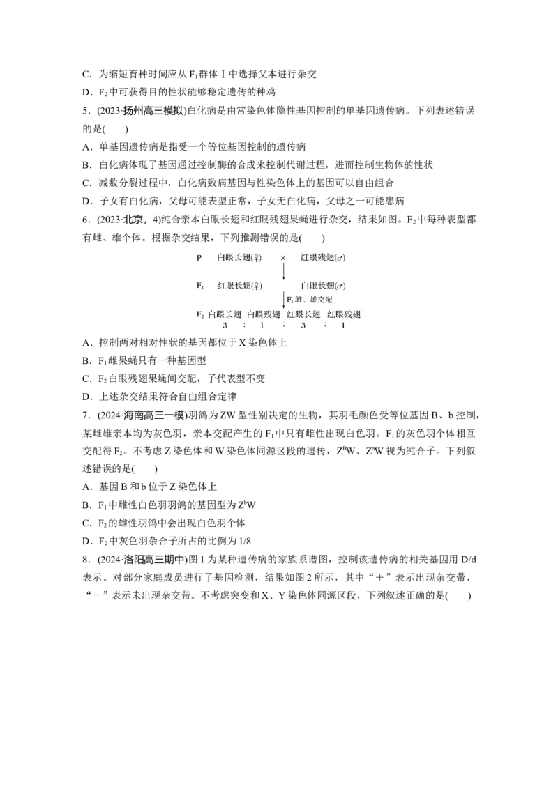 第五单元课时练28伴性遗传和人类遗传病_2025年新高考资料_一轮复习_2025大一轮复习讲义+课件（完结）_2025大一轮复习讲义生物学生用书Word版文档整书_2025一轮复习73练