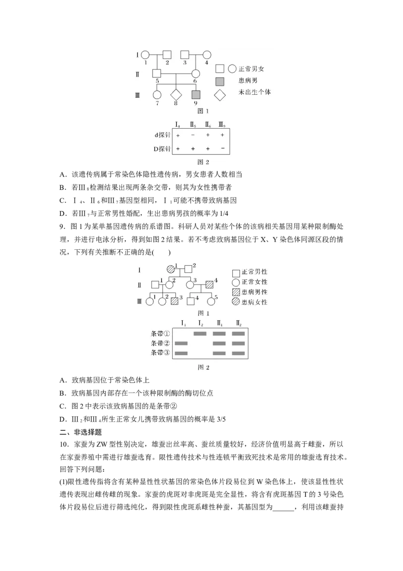 第五单元课时练28伴性遗传和人类遗传病_2025年新高考资料_一轮复习_2025大一轮复习讲义+课件（完结）_2025大一轮复习讲义生物学生用书Word版文档整书_2025一轮复习73练