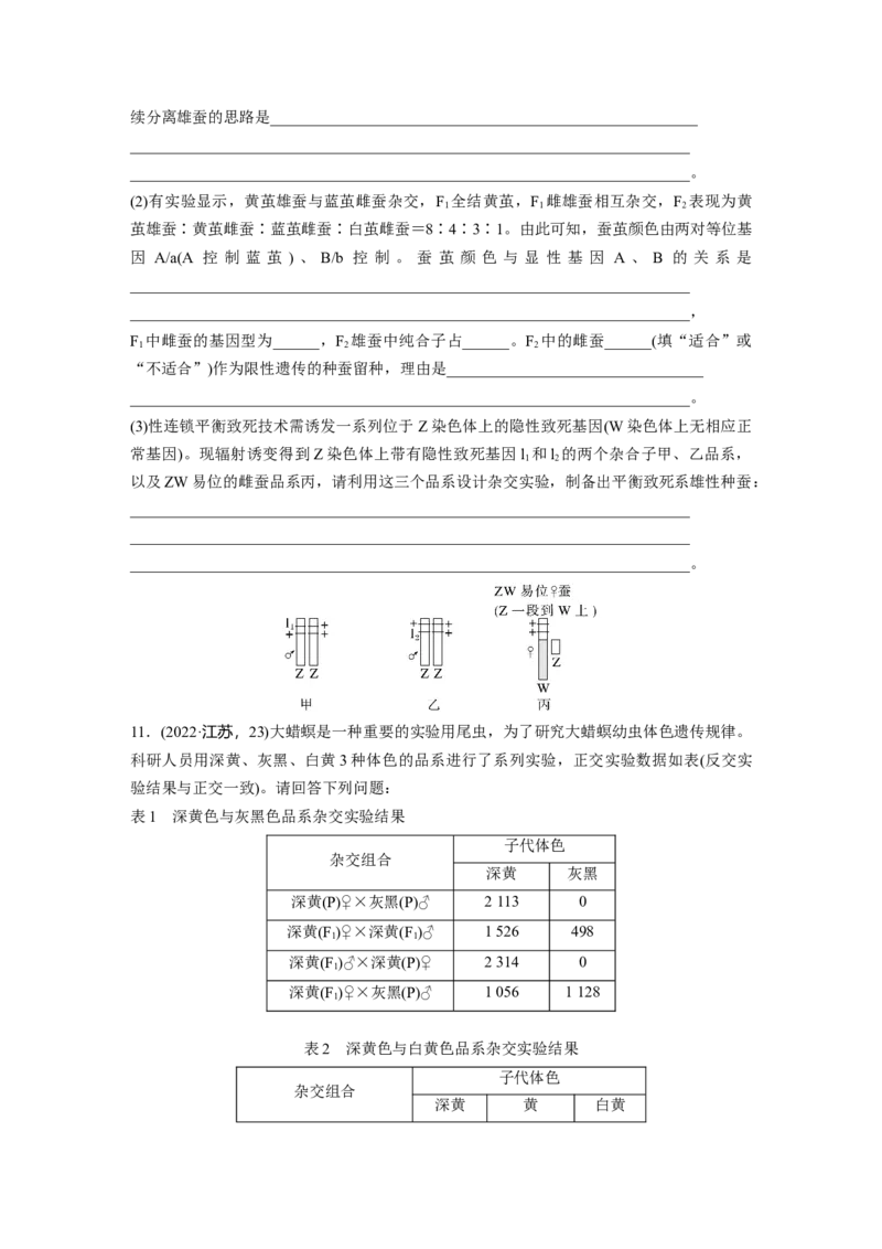第五单元课时练28伴性遗传和人类遗传病_2025年新高考资料_一轮复习_2025大一轮复习讲义+课件（完结）_2025大一轮复习讲义生物学生用书Word版文档整书_2025一轮复习73练