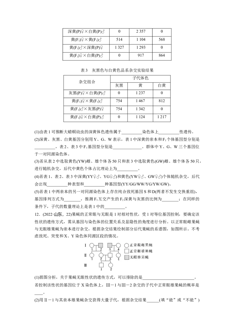第五单元课时练28伴性遗传和人类遗传病_2025年新高考资料_一轮复习_2025大一轮复习讲义+课件（完结）_2025大一轮复习讲义生物学生用书Word版文档整书_2025一轮复习73练