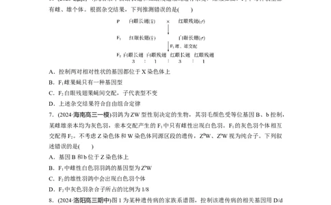 第五单元课时练28伴性遗传和人类遗传病_2025年新高考资料_一轮复习_2025大一轮复习讲义+课件（完结）_2025大一轮复习讲义生物学生用书Word版文档整书_2025一轮复习73练